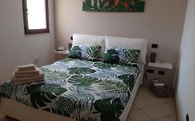 Pura Vida Home